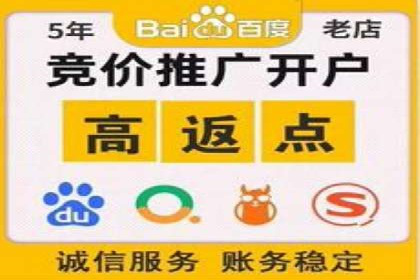 详解托管SEM竞价案例：精准定位客户群体